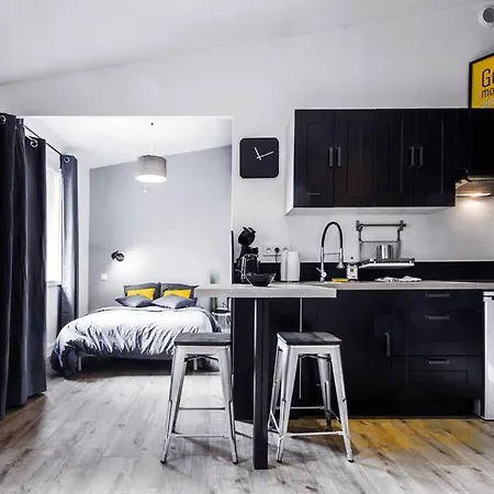 Apartamento Coeur St Cyprien T1 Bis Type Loft