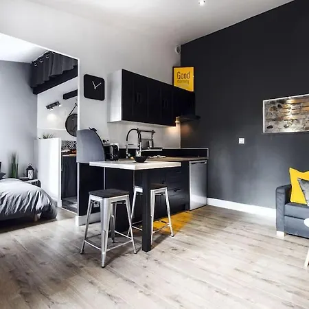 아파트 Coeur St Cyprien T1 Bis Type Loft *