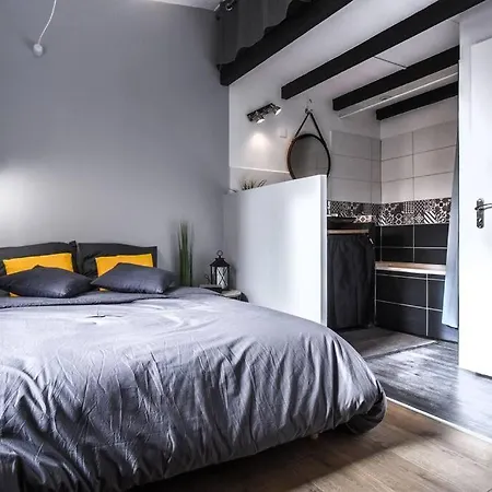 Coeur St Cyprien T1 Bis Type Loft 아파트 *