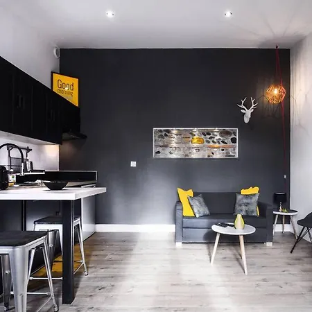 Coeur St Cyprien T1 Bis Type Loft 툴루즈