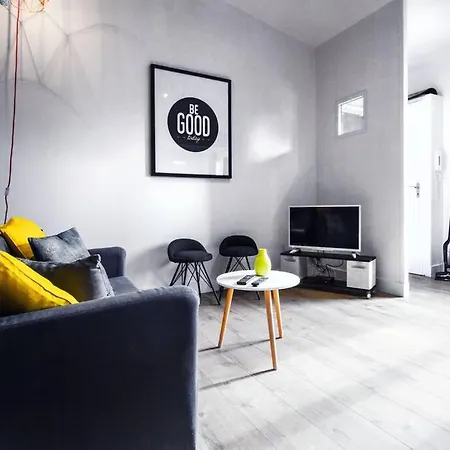Apartment Coeur St Cyprien T1 Bis Type Loft Toulouse